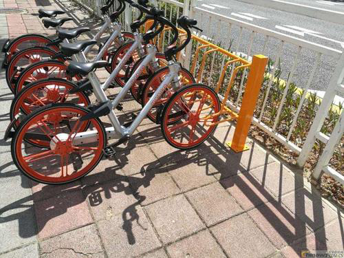 廣東省林業科學研究院雙層自行車停車架成功案例